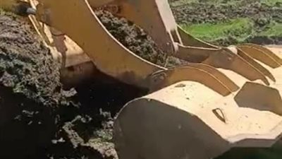 الري: تنفيذ إزالة لمشتل زراعة أرز مخالف بمحافظة القليوبية 