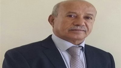 أكاديمي بجامعة عدن لـ