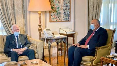 وزير الخارجية يؤكد على مواصلة الجهود لإنهاء التصعيد الحالي في الأراضي الفلسطينية 