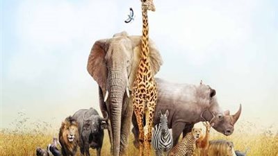 في اليوم العالمي للتنوع البيولوجي.. 