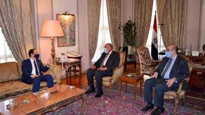 وزير الخارجية يطلع نظيره القبرصي على جهود مصر في وقف التصعيد بفلسطين (صور)