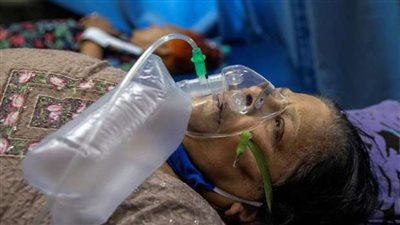 الفطر الاصفر.. وباء جديد يهدد العالم 