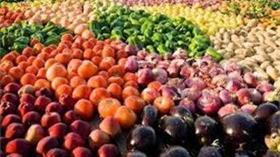 ارتفاع صادرات مصر الزراعية لأكثر من 3.3 مليون طن هذا العام