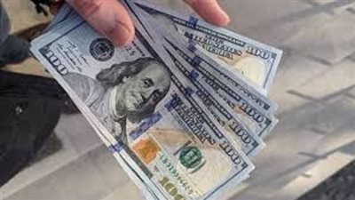 سعر الدولار اليوم في البنك المركزى المصرى 