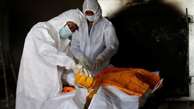 توضيح مهم من أستاذ مناعة بشأن عدوى الفطر الأسود