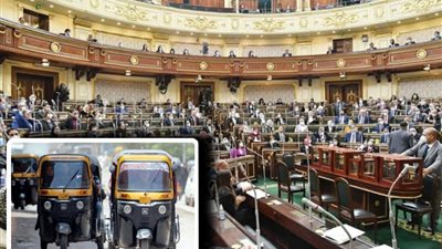   قرارات عاجله.. «محلية النواب» تزف بشرى سارة لأهالي بوابات حدائق الأهرام بشأن «التوك توك»