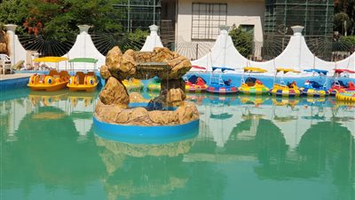 حديقة الحيوان تعلن عن خدمة ترفيهية جديدة للأطفال (صور)