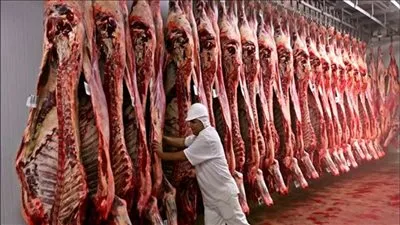 أسعار اللحوم اليوم الإثنين 7-6-2021 في السوق المحلي 