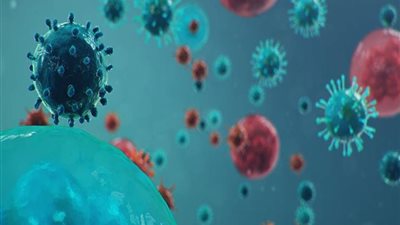 أستاذ بجامعة المنيا: لا توجد روشتة موحدة لعلاج فيروس كورونا