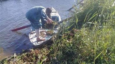 الري: تنفيذ 7 إزالات اليوم بمحافظة أسيوط