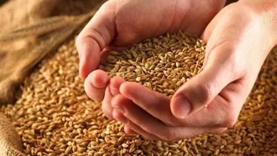  وزير التموين: 