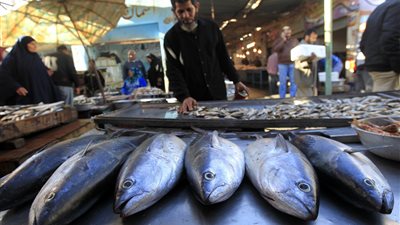 أسعار الأسماك اليوم الأربعاء 16 يونيو 2021 في الأسواق 