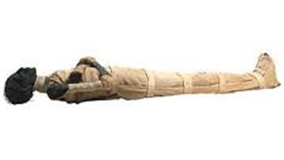 قطع الشهر في 