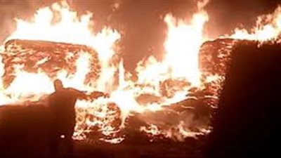 سيدة تشعل النيران في مزرعة جارها لخلافه مع نجلها في كفر الشيخ 