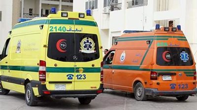 تفاصيل إصابة 16 شخصا في تصادم جرار بميكروباص في الدقهلية 