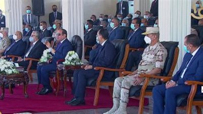 السيسي عن التعديات: 