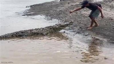 دليل سياحي يستعرض مواهبه مع تماسيح عملاقة