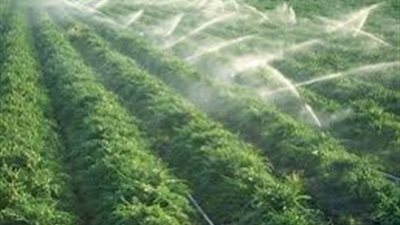 الري: تنفيذ منظومة الري الحديث في 376 ألف و 842 فدان حتى الآن بـ7 محافظات 