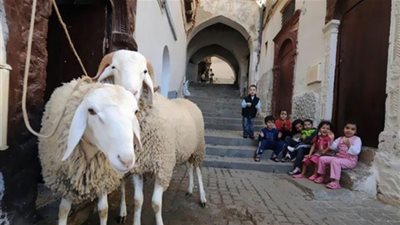  تعرف على موعد أول أيام عيد الأضحى 2021