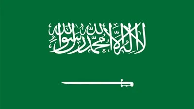 عاجل.. السعودية: بداية من يوليو أي زيادة في أسعار البنزين ستتحملها الحكومة