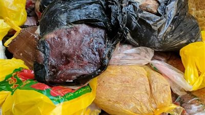 مباحث التموين تداهم مجزر غير مرخص بالجيزة وتضبط داخله دواجن فاسدة