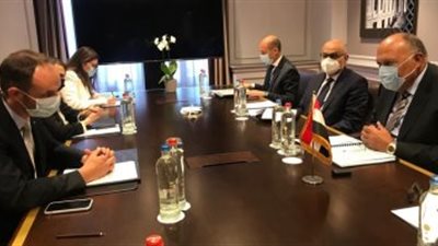 سامح شكرى يبحث مع وزير خارجية سلوفينيا مجمل الملفات الإقليمية