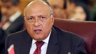 وزير الخارجية يكشف تفاصيل لقائه مع نظيره الإسرائيلي