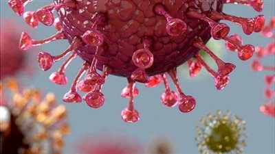 تنبيه عاجل من مستشار الرئيس: احذروا السلالات المتحورة (فيديو)