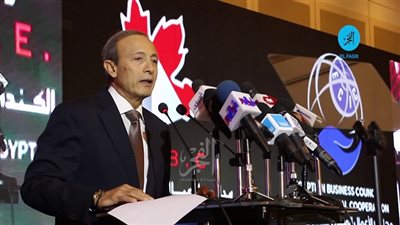 مجلس الاعمال المصري للتعاون الدولي: مصر انتهت من كابوس انقطاع التيار الكهربائي