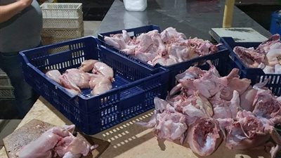 ضبط 5 أطنان دواجن مذبوحة خارج السلخانة بكفر الشيخ 