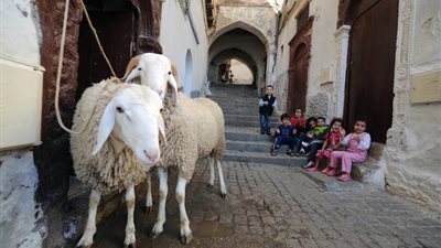 أبرزها بسبب ذبح الأضاحي والألعاب النارية.. قائمة بعقوبات المخالفين في عيد الأضحى