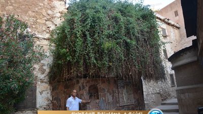 تعرف على طريق الحجاج المسيحيين إلى مصر 