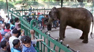 الزراعة: الحدائق التابعة تواصل استقبال المواطنين في أول أيام عيد الاضحي 