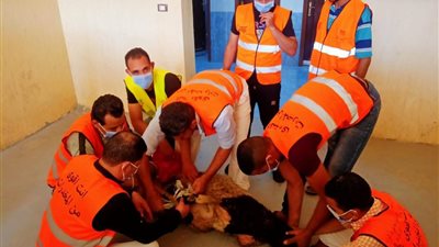 كيف يقضى  المتعافون من الإدمان أيام عيد الأضحى؟.. صندوق المكافحة يجيب