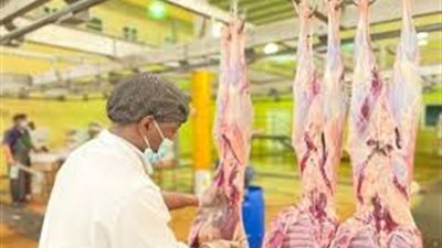 مسالخ الطائف تستقبل أكثر من 11 ألف رأس من الأضاحي في يوم واحد