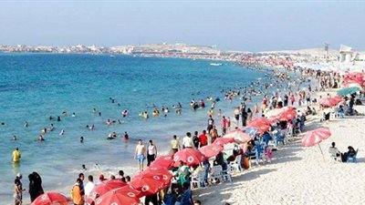 مناشدات من محافظة الإسكندرية لزوارها (فيديو)