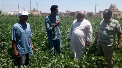 وكيل زراعة الفيوم يشهد 