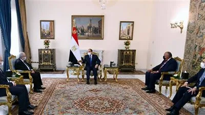 توافق مصري جزائري بشأن تطورات الأوضاع في تونس