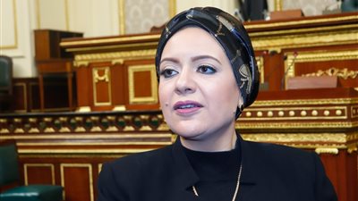 طلب إحاطة إلى وزيرة الصحة بسبب تدهور مستشفى حميات إدفو بأسوان