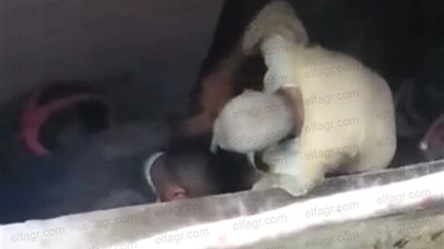 عاجل.. إيداع 