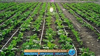 الري: المنظومة الحديثة وصلت لـ 393 ألف فدان بـ 7 محافظات 
