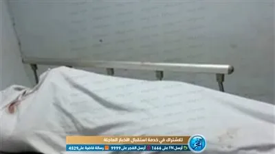 حبس المتهمان بقتل 