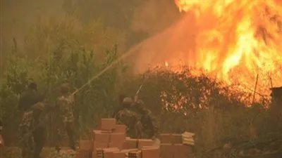 الجيش الجزائري يدفع بمروحيات طراز 