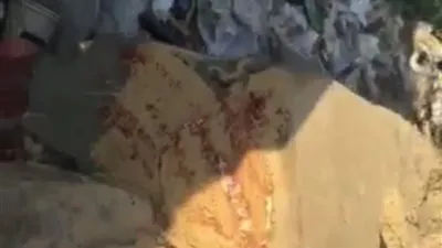 ننفرد بفيديو مسرح جريمة مقتل مسنة وحفيدتها ببولاق