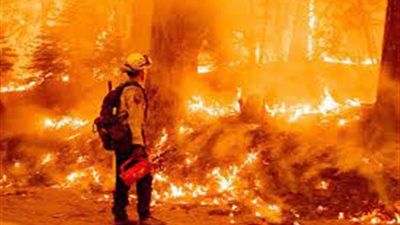 أبرزها النار والأقمار الصناعية.. ما هي أحداث الأساليب لإطفاء حرائق الغابات؟