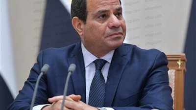 السيسي: الخراب والتدمير كان وشيكًا.. ولكن الشعب المصري تصدى له