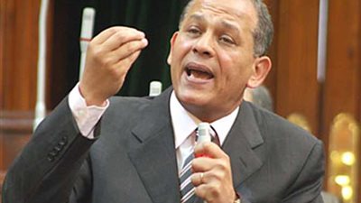 السادات: وجدنا استجابة لطلب لجنة الحوار بشأن مراجعة حالات محبوسين