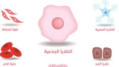 والدة طفلة توفيت بسبب نقص الخلايا الجذعية: العلاج سهل لكن الناس بترميه