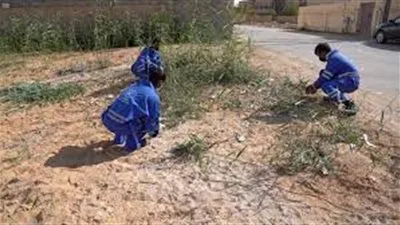 لمعالجة التشوه البصري.. أمانة الجوف تكثف أعمالها