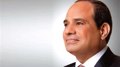 السيسي: تكلفة الإصلاح هائلة ويدفعها المُصلح (فيديو)